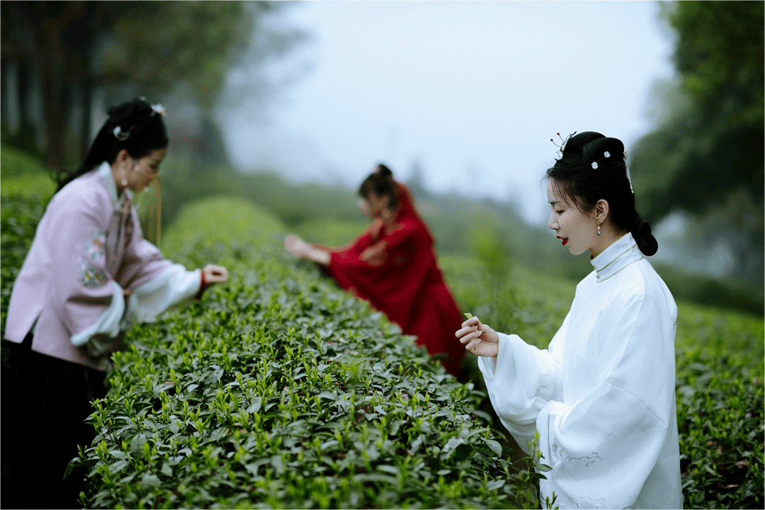 清明期间这些路段易堵,出行指南请收好→_周边_道路_大道