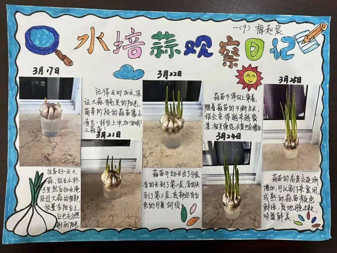 泰州实验学校绿植小园丁劳动课程实践