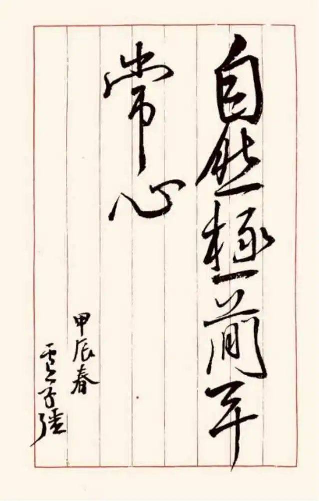 "拍鸟>观鸟>研究鸟"639_1003竖版 竖屏