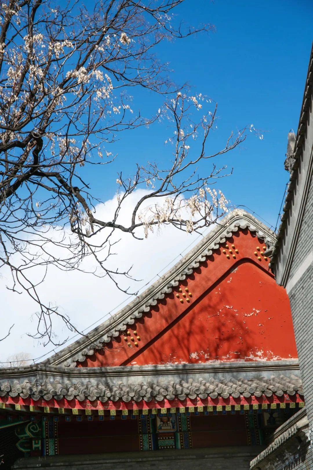 未名家长谈用心陪伴静待花开