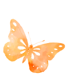 hello spring 邂逅春天寻找美好最是一年春好处适合踏青的季节到啦!