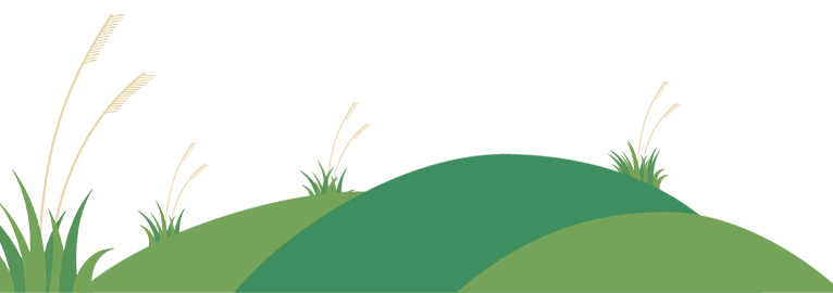 扫墓烧金纸罚磁灶金井深沪