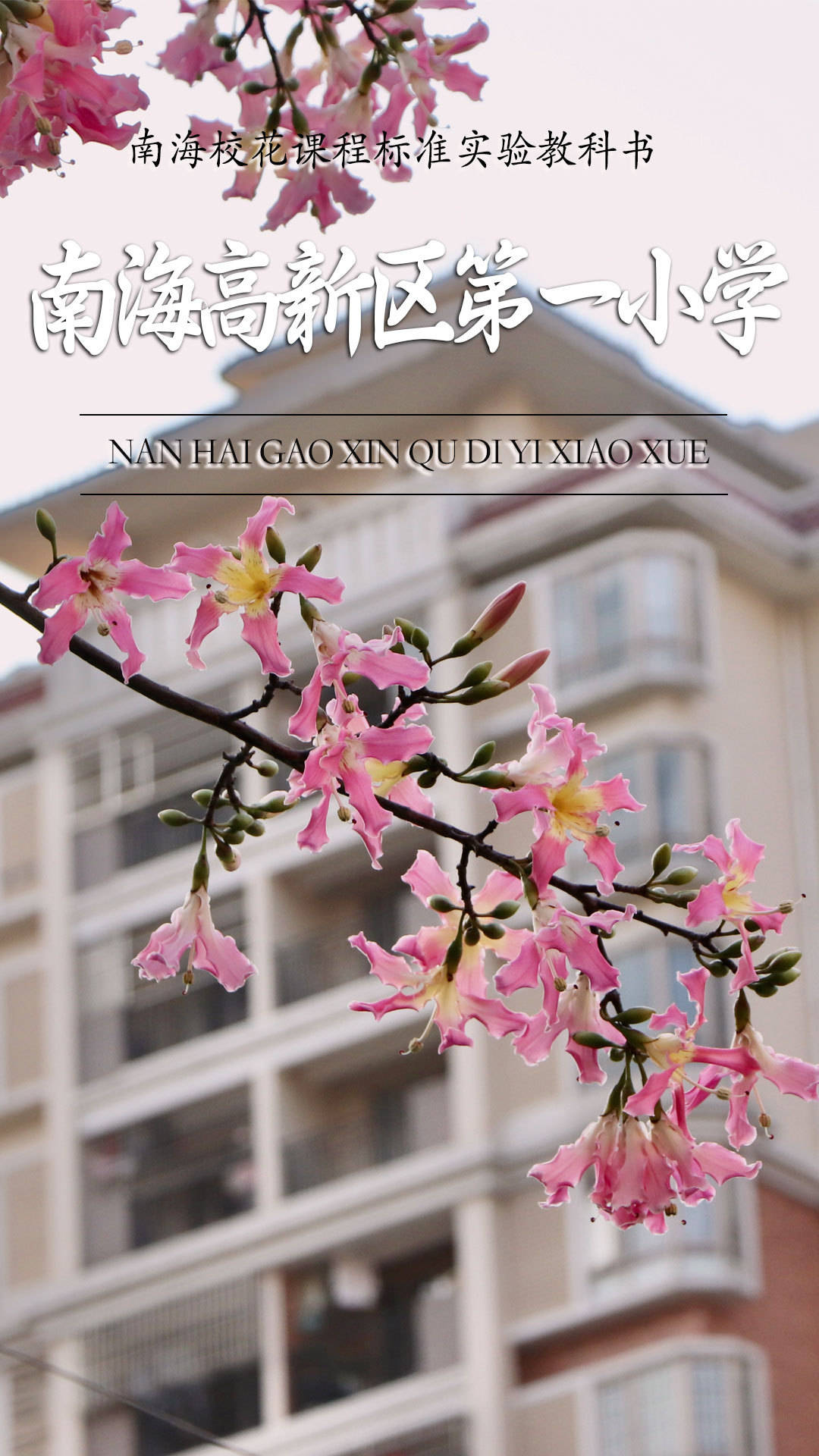 南海校花集合哪一个是你眼中的春日顶流