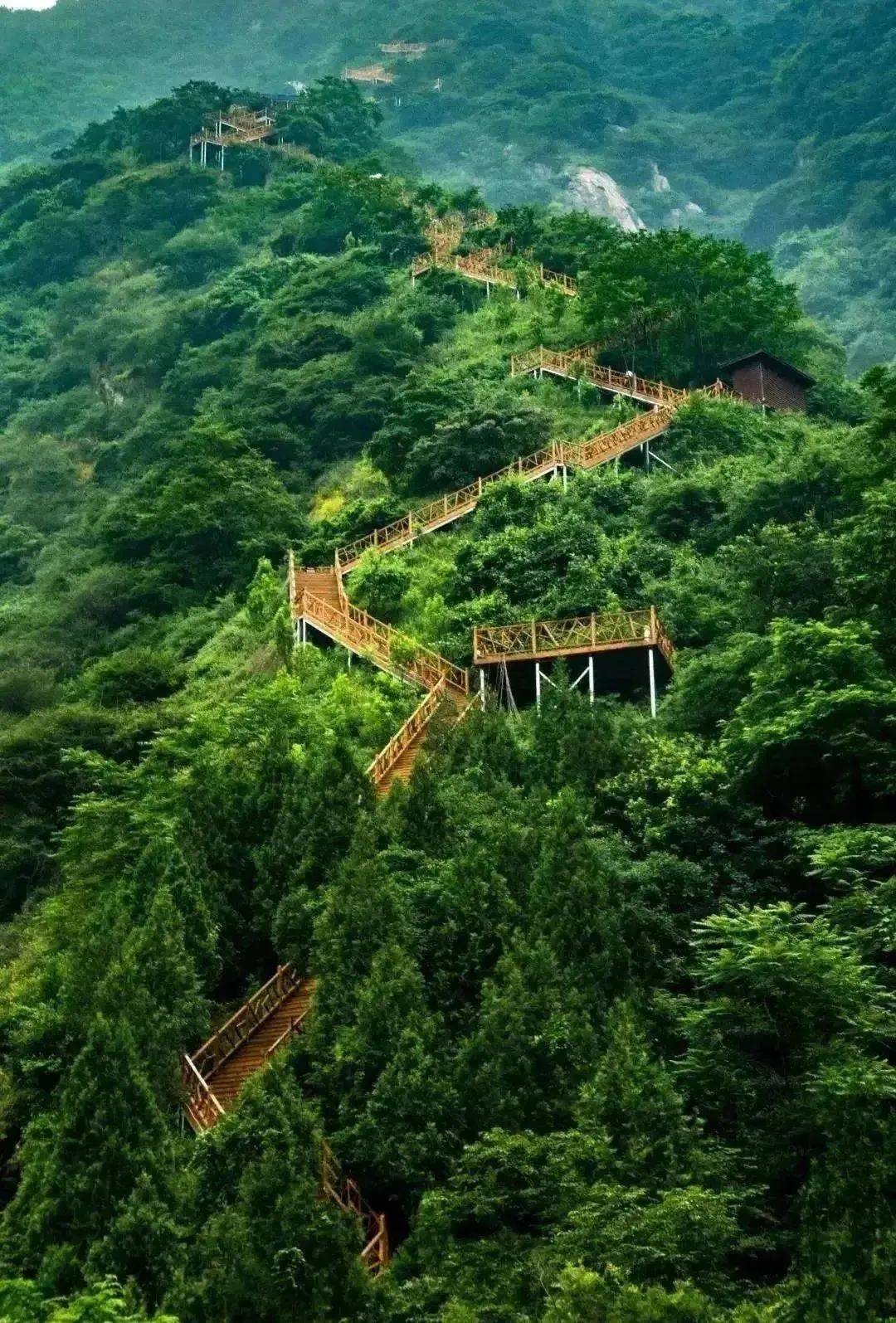 避开人从众…进山吧!秦岭曲峪藏着的"北方第一峡"限时秒杀