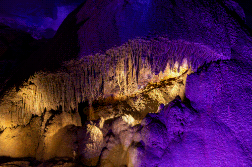 下一波消费券来了时间就在