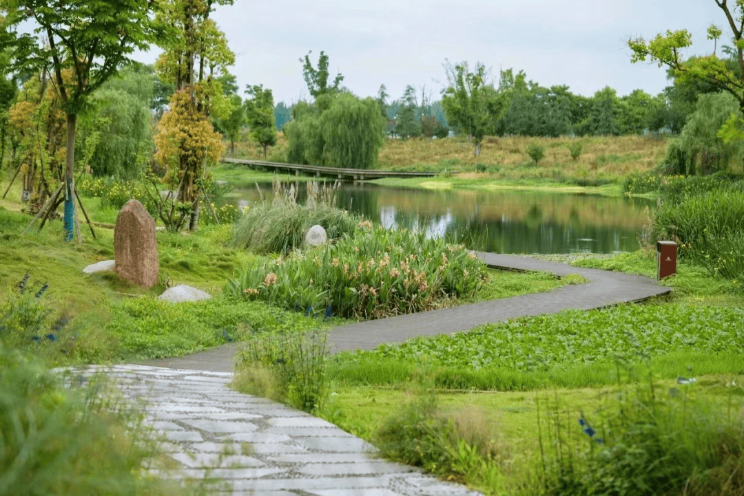 运动_公园_艺苑