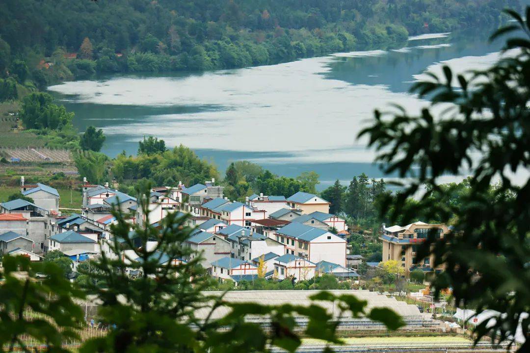 而位于闽江上游金溪河畔的将乐县南口镇蛟湖村,依山傍水,风光旖旎