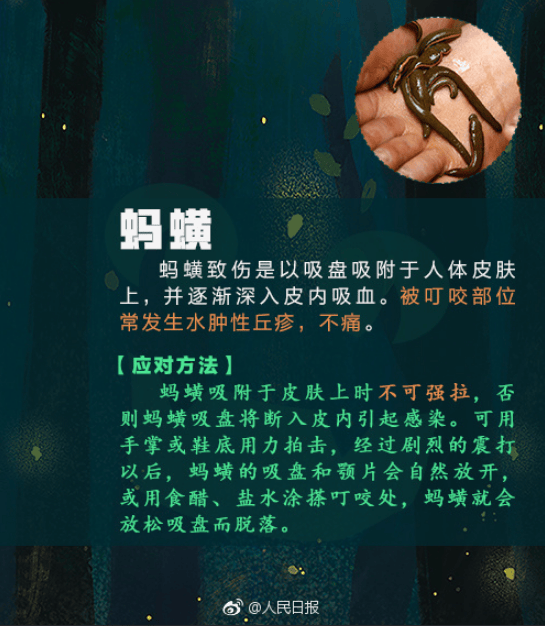 恙虫咬人后有什么症状图片