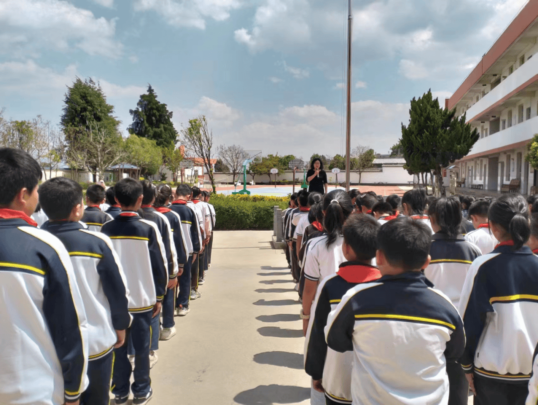 白邑完小大庄完小班局完小德苴中学海坝庄完小先锋完小树密完小康郎完