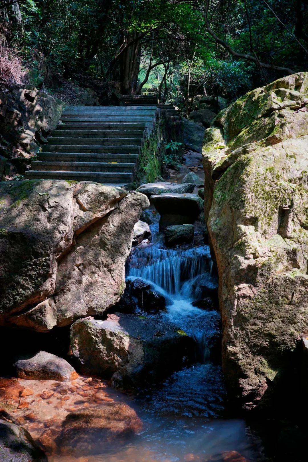 大岭山湿地公园图片图片