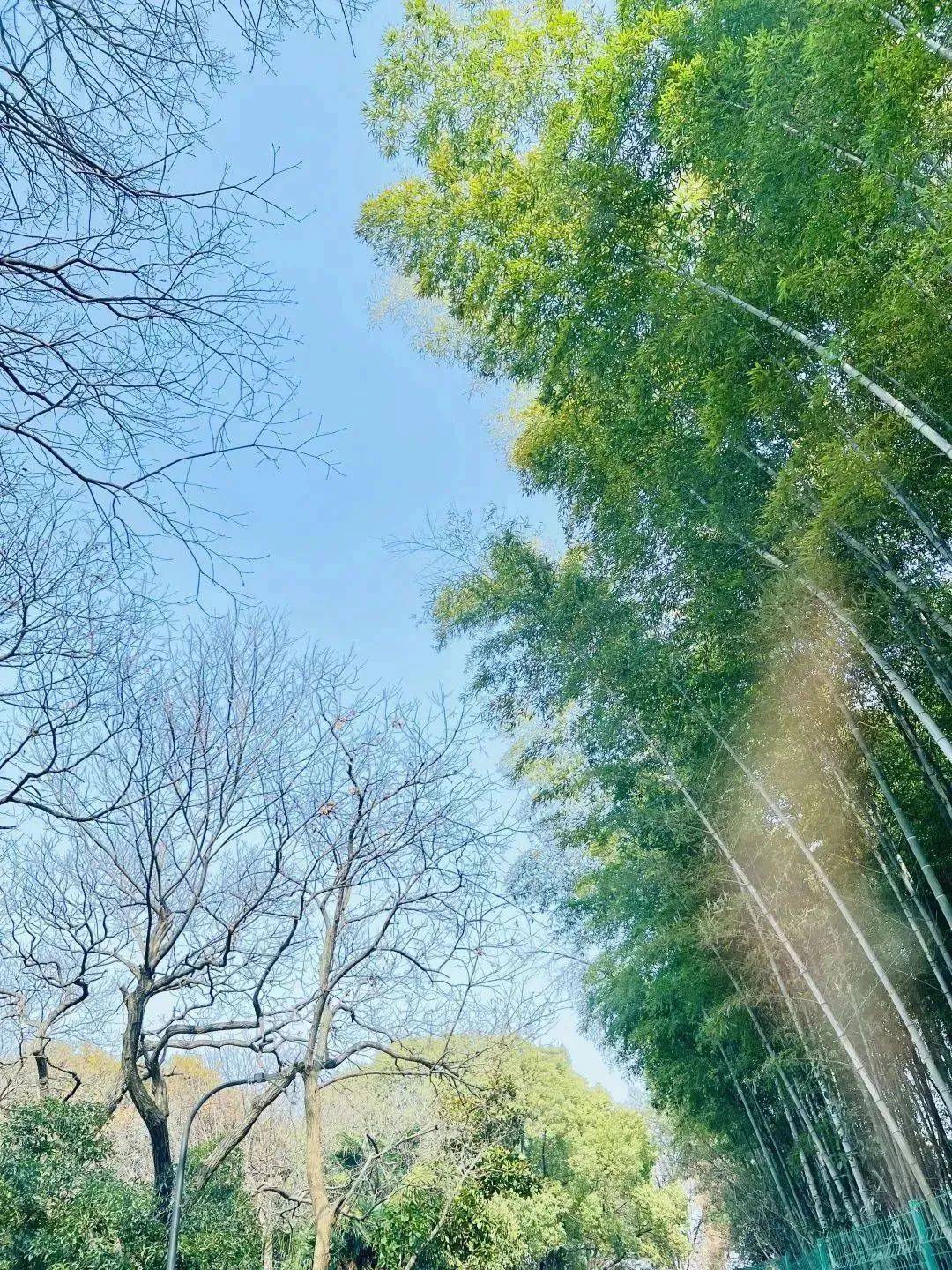 在常熟打开六种青绿