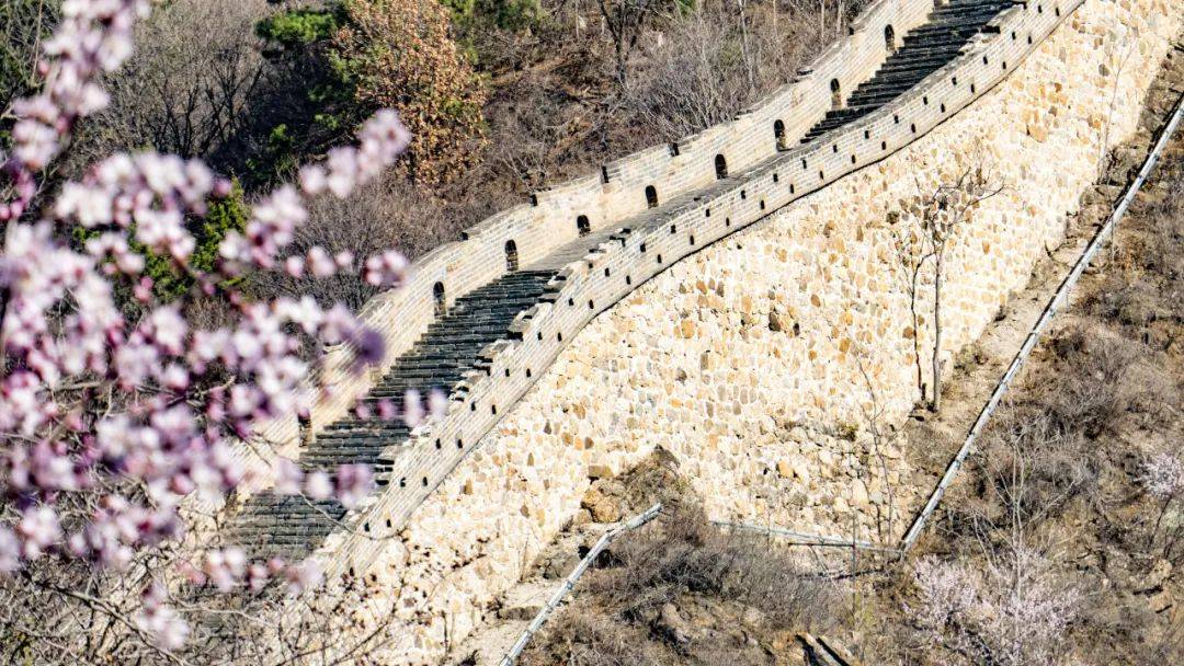 四条密云春日赏花线路全攻略告诉你什么是踏春旅行天花板