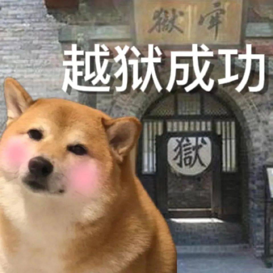 分享一些比较符合我精神状态的表情包