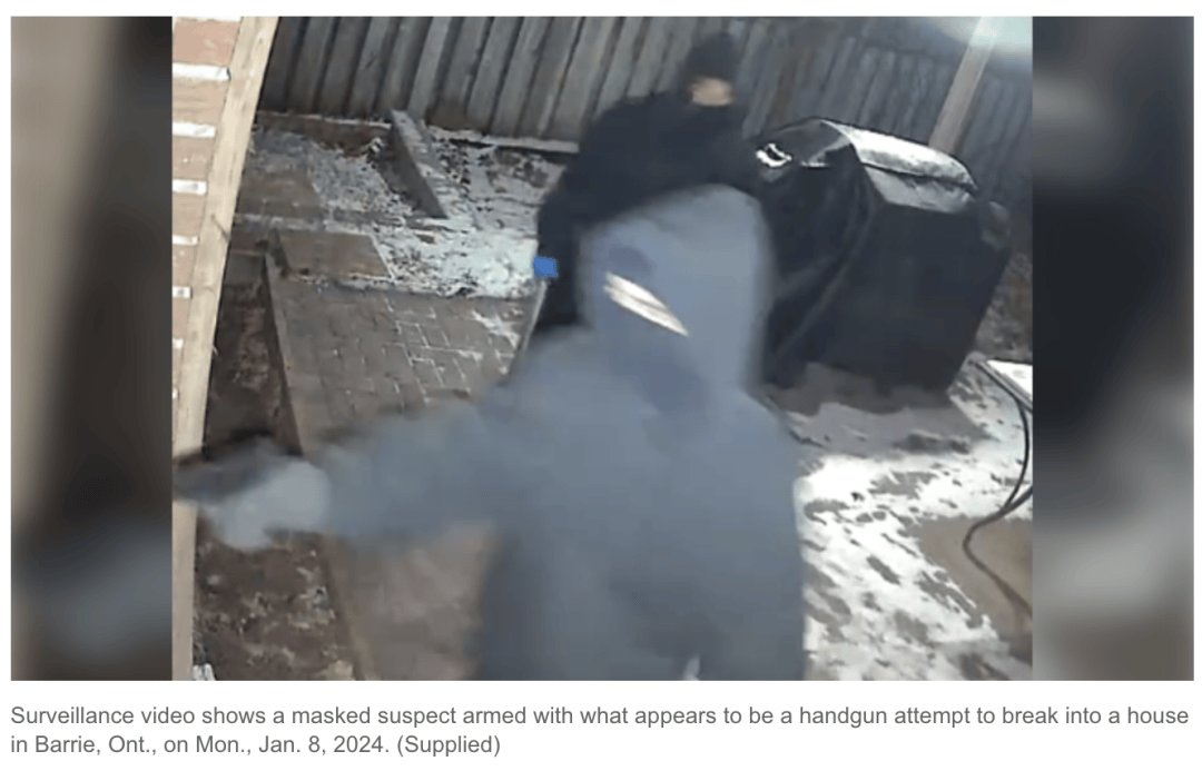 壁纸 动物 鸟 鸟类 雀 1080_693