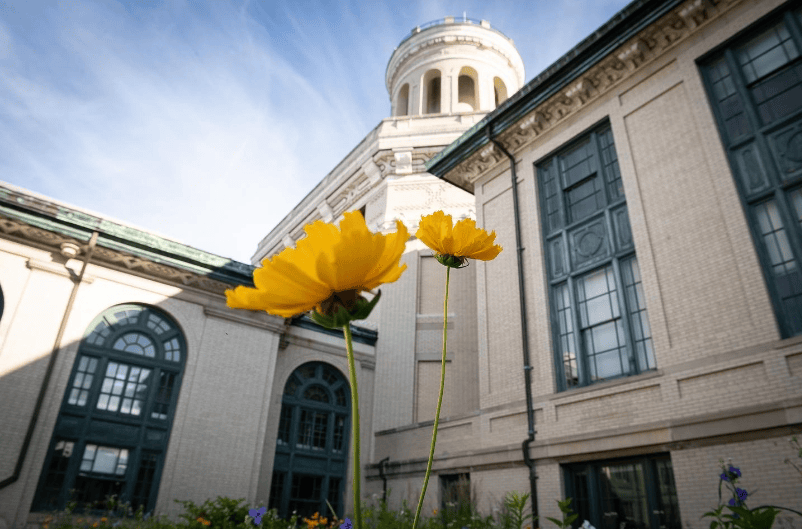 水到渠成上海女孩冲进cmu除了高分gpa还有这些过人之处