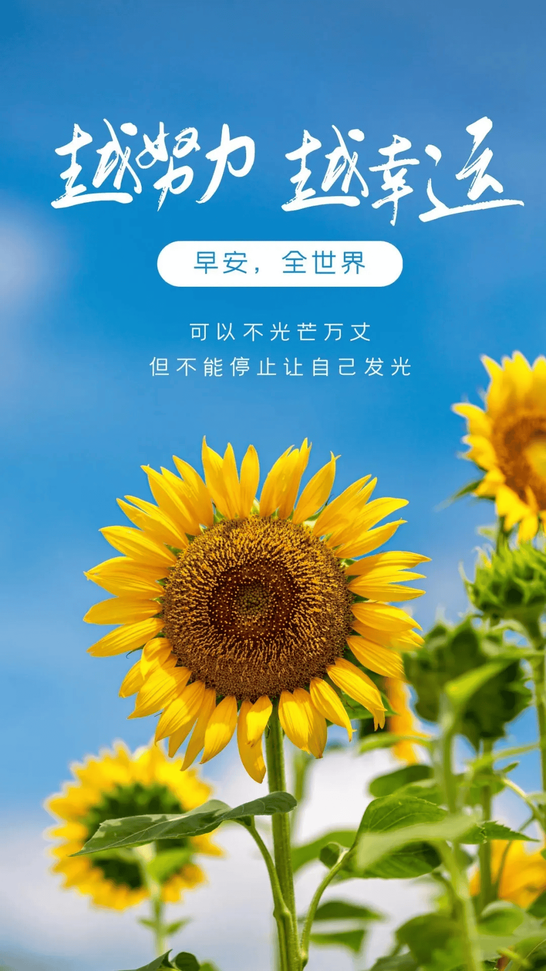 4月7日早安正能量努力句子 努力地为自己的明天去寻求和拼搏