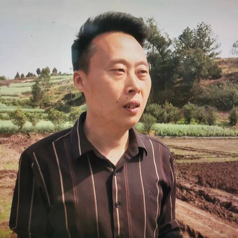 4万亩涉及资中这些镇