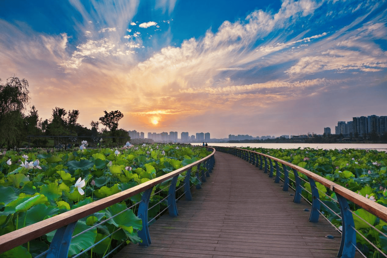 农工文旅融合 遂宁船山推动全域旅游高质量发展_文化_城市_兴街