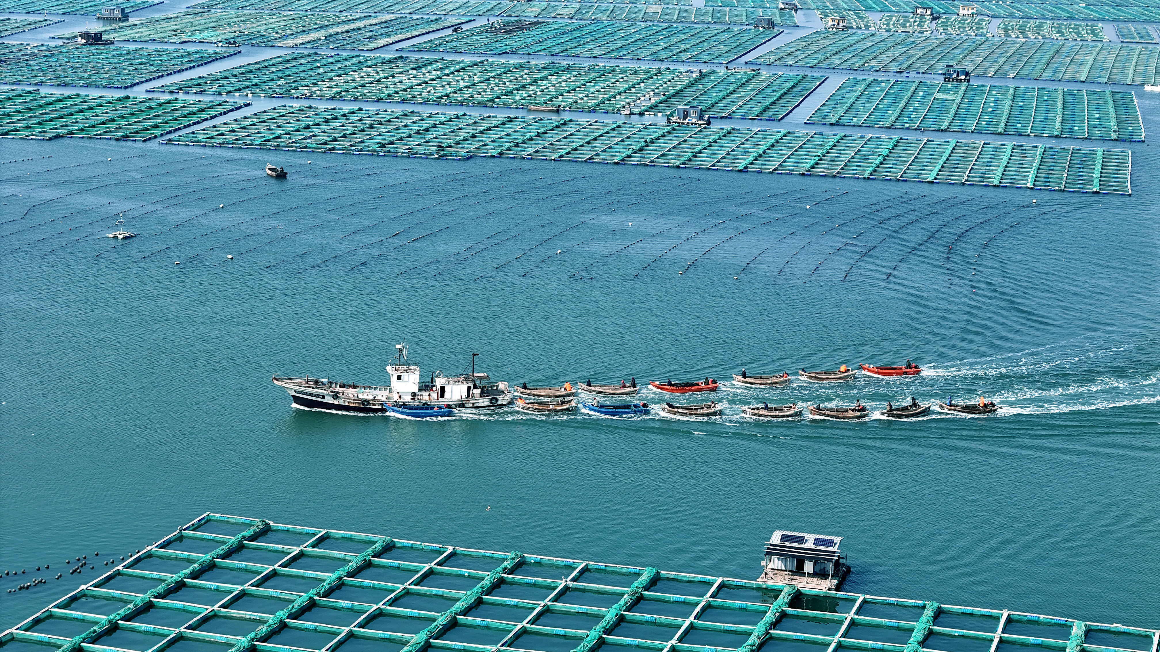 海上捕捞忙_养殖_海洋_杨志礼