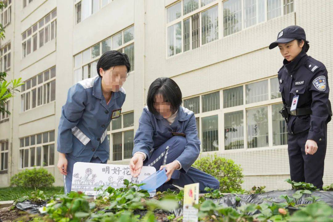 天津市西青区女子监狱图片