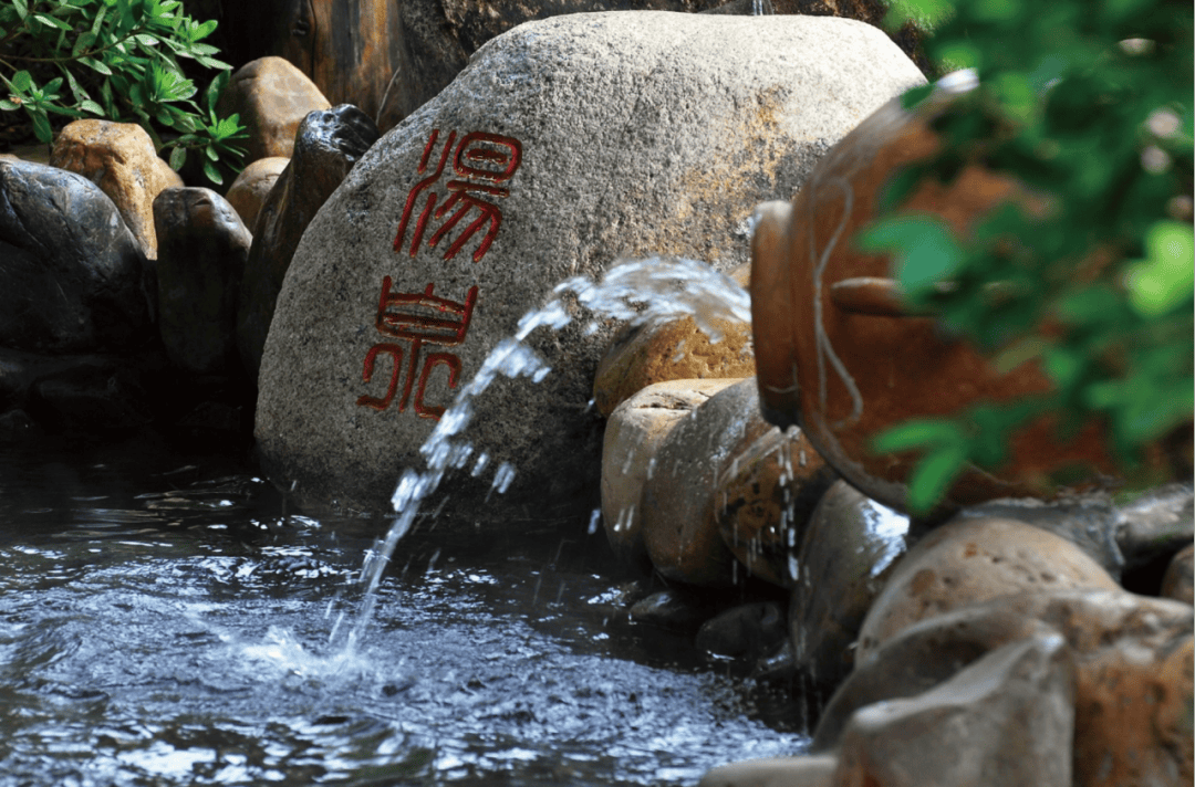 年度必囤紫龙湾plus版温泉年卡火爆上线即买即用