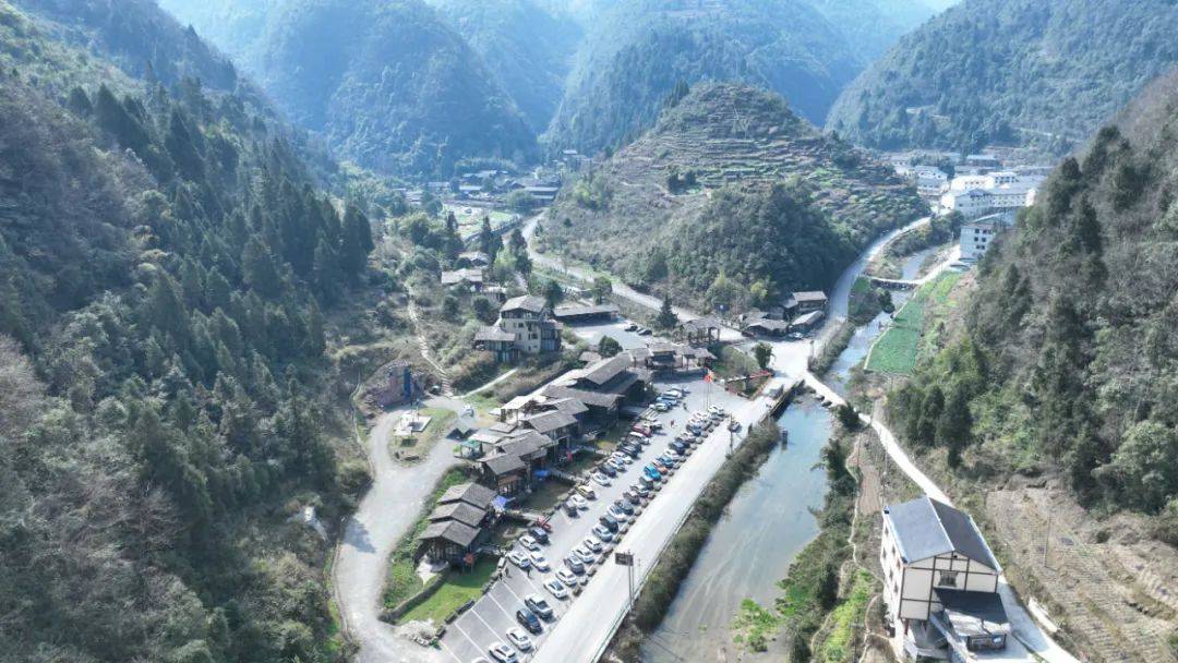 聚焦三大要素推动高质量发展丨温泉镇民宿产业多点开花