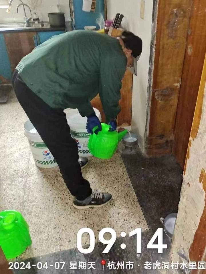 白蚁又杀疯了,专家:今年数量比往年少,但根治很难_防治_杭州_居民楼