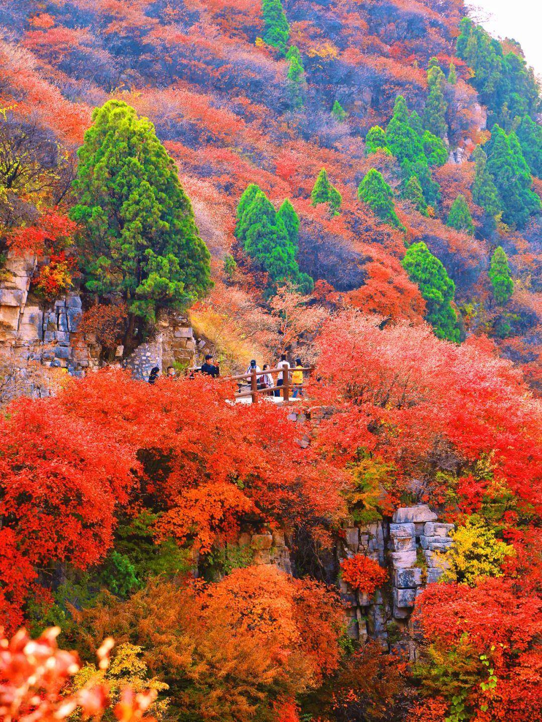 青云山景区金炳仓摄青州古城曹树栋摄齐鲁天路世界风筝公园(齐鲁酒地)