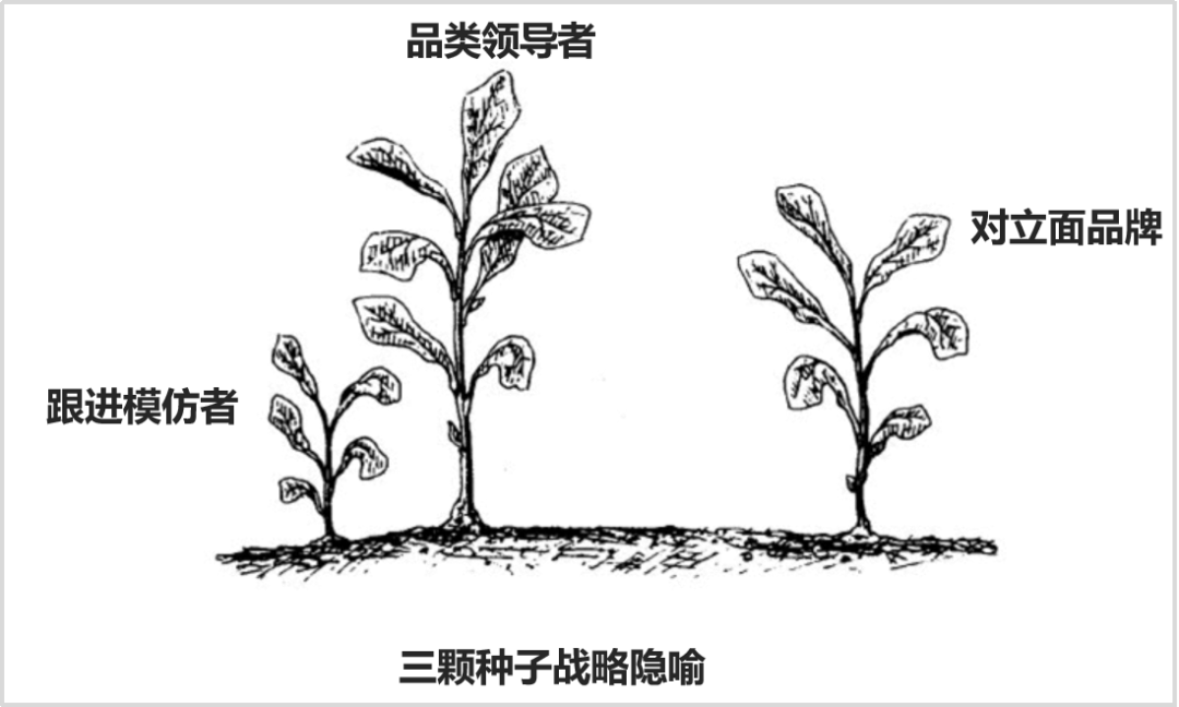 文章配图-9