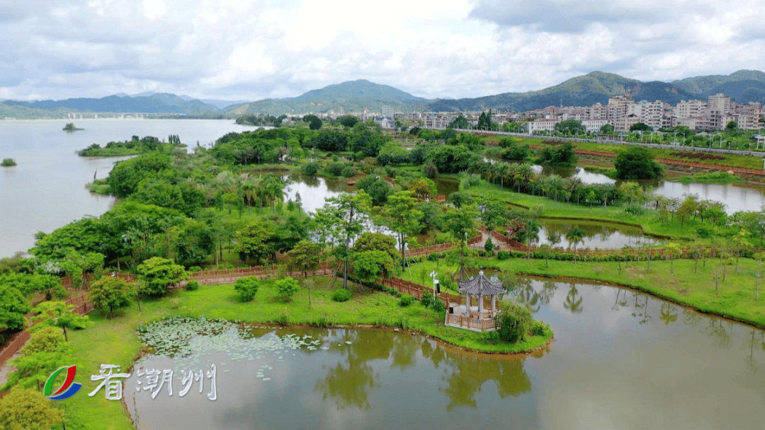 在奔跑中领略秀美潮州_马拉松_金山大桥_韩江