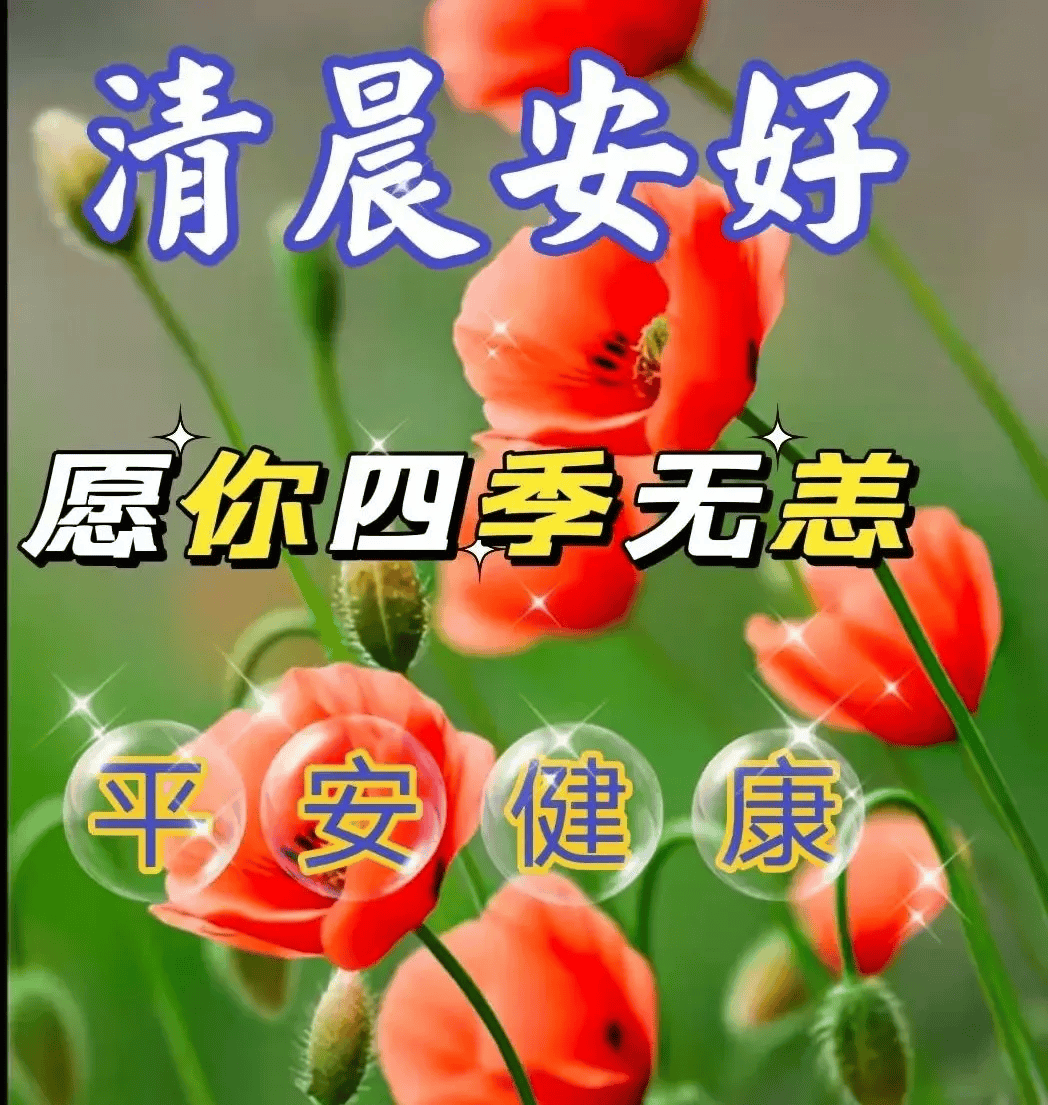 2024年4月8日最新早上好祝福语图片大全 今日精选早安问候祝福图片带