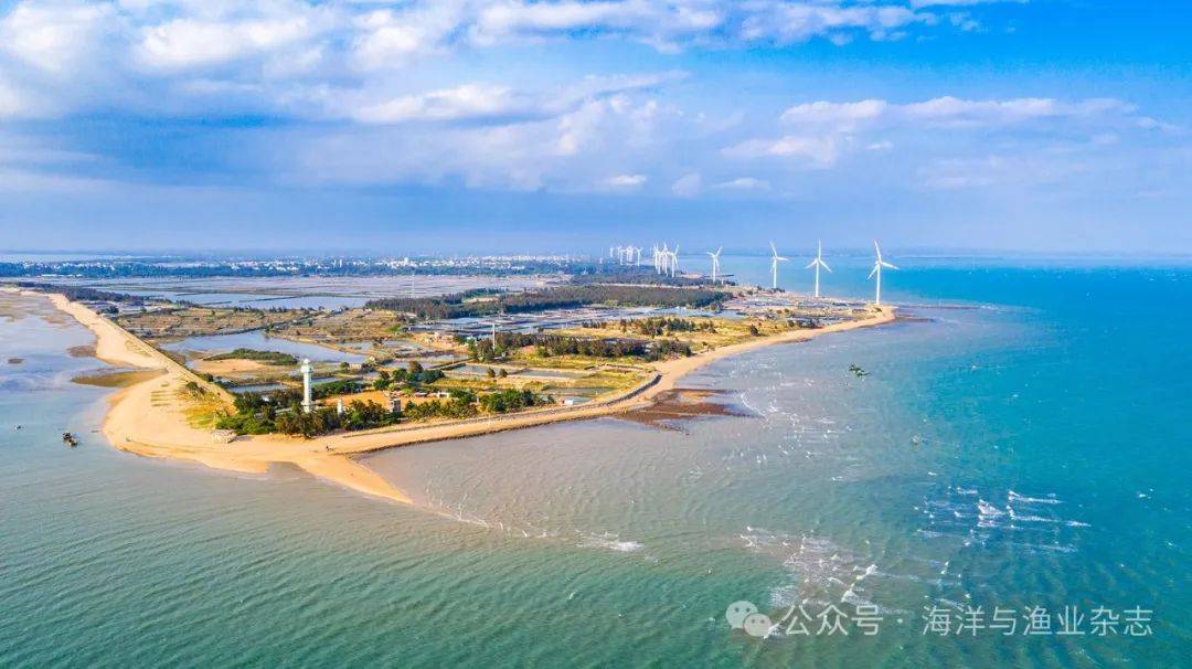 广东省现代化海洋牧场一级开发平台在湛揭牌成立