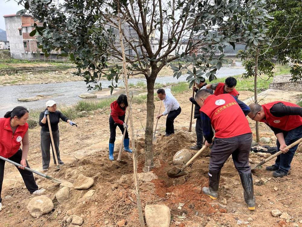 清远连山小三江镇:实施"四个一"行动 厚植"锦绣壮乡"绿美底蕴