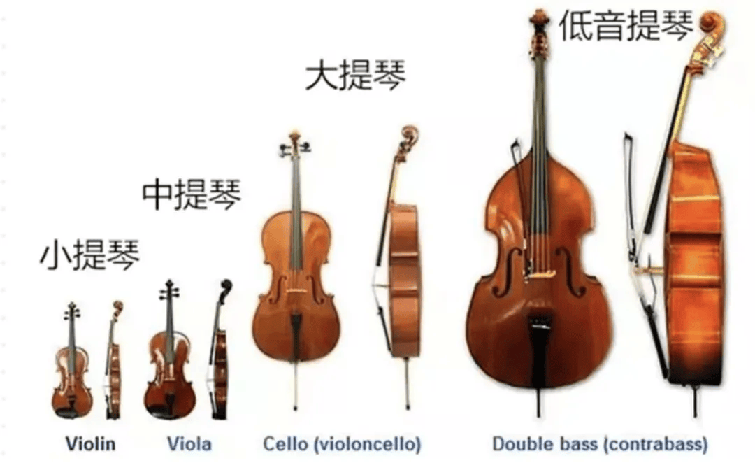 我家孩子参加过的全国音乐大赛最强剧透来了