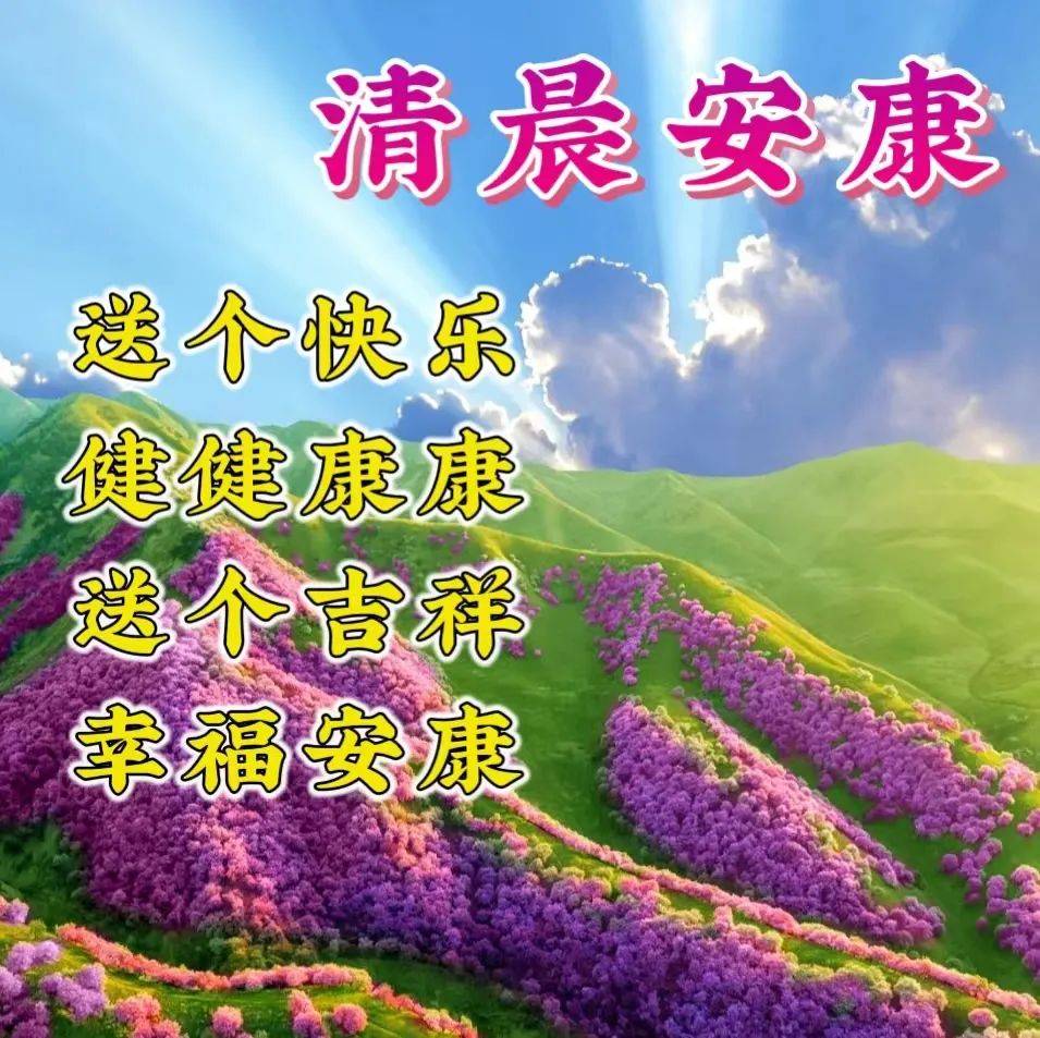 2024年4月8日最新早上好祝福语图片大全 今日精选早安问候祝福图片带