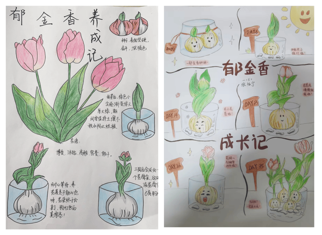 通州实小·课程建设 蕊春四季风·春日拾趣项