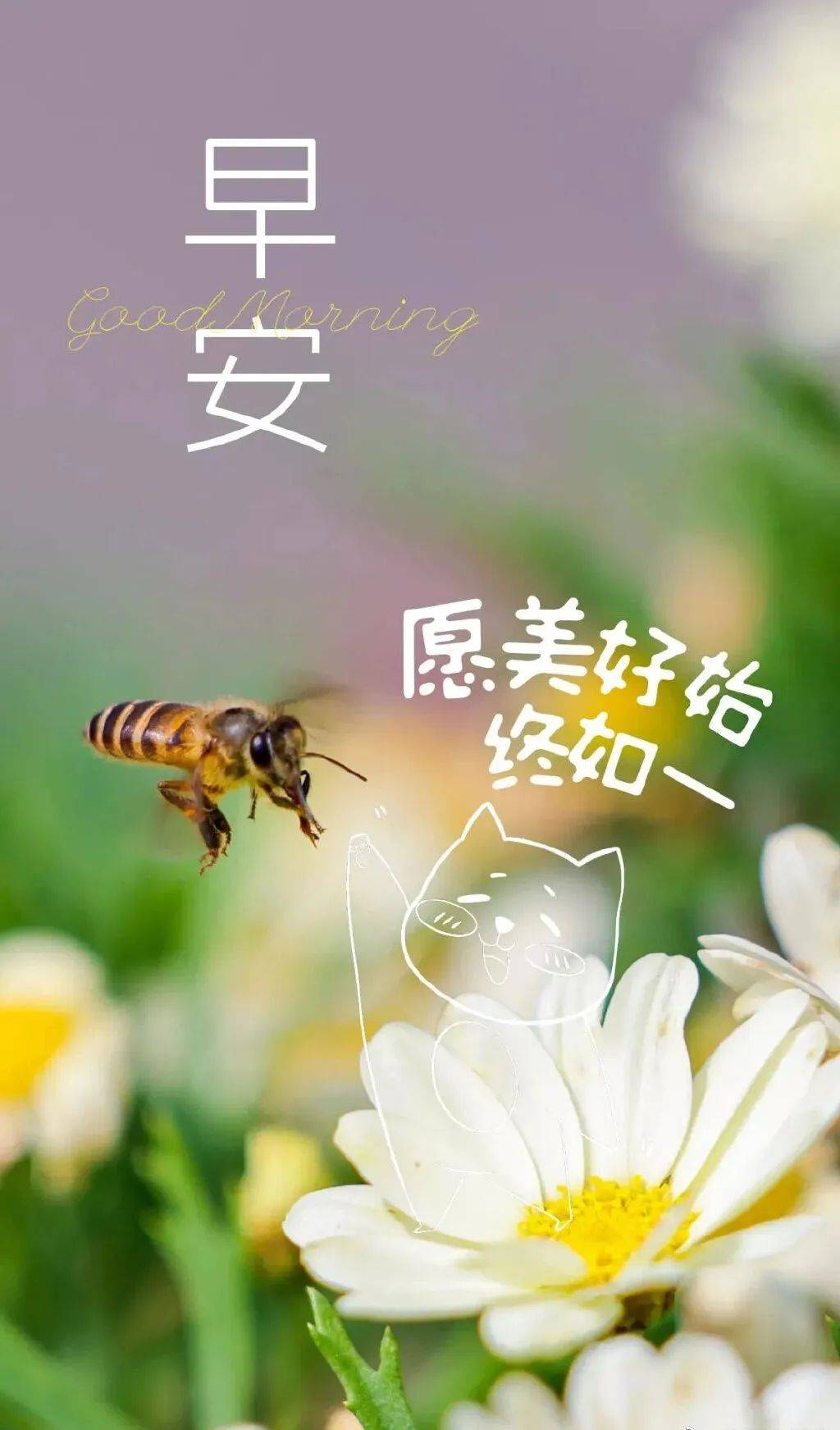 4月8日早安图片最新