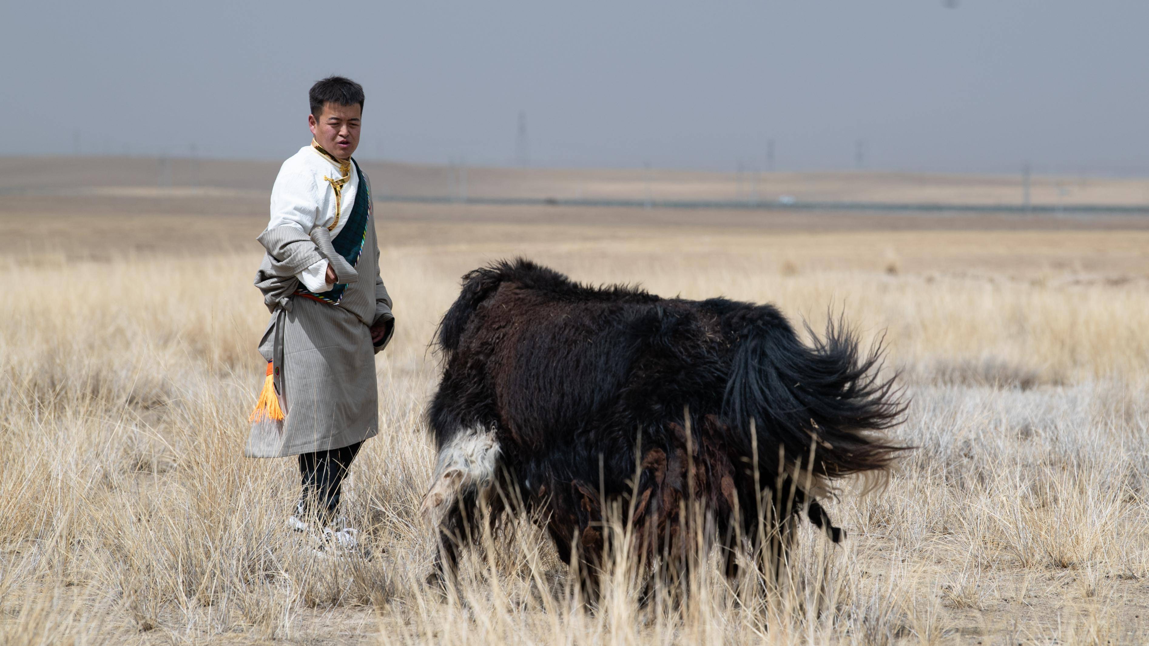 新华全媒乡村新职业丨牧民摄影师用镜头定格青海湖美丽瞬间