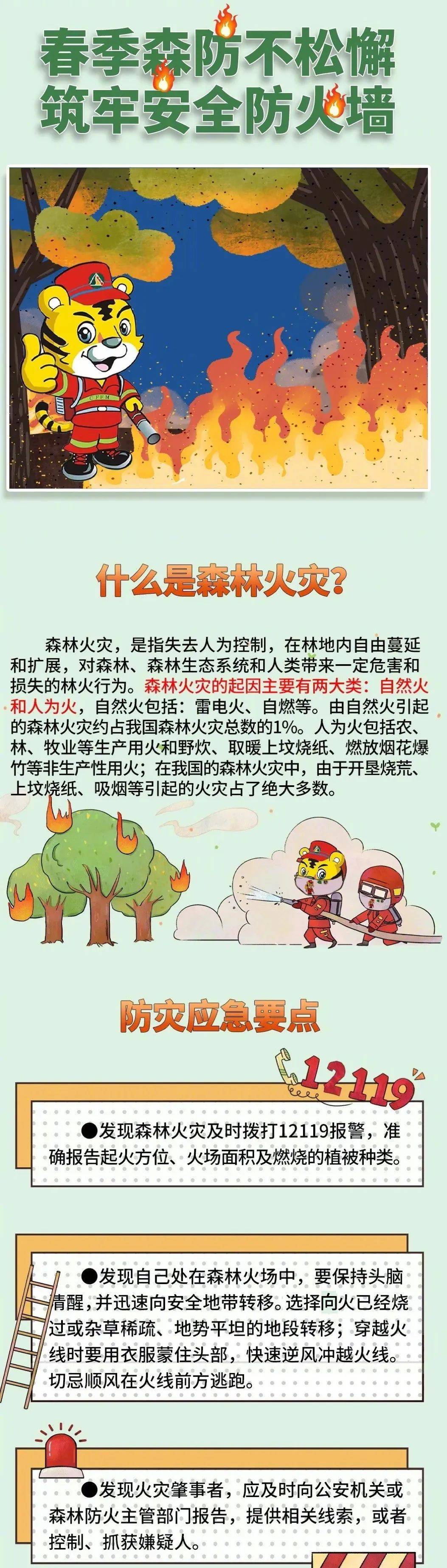 森林防火 人人有责 一张长图科普森林防火安全知识