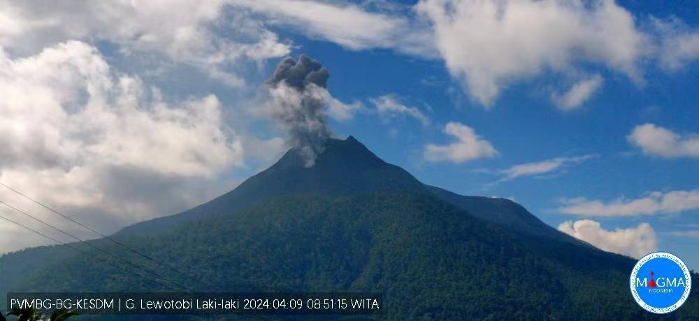 印尼勒沃托比火山喷发 火山灰柱高度达700米