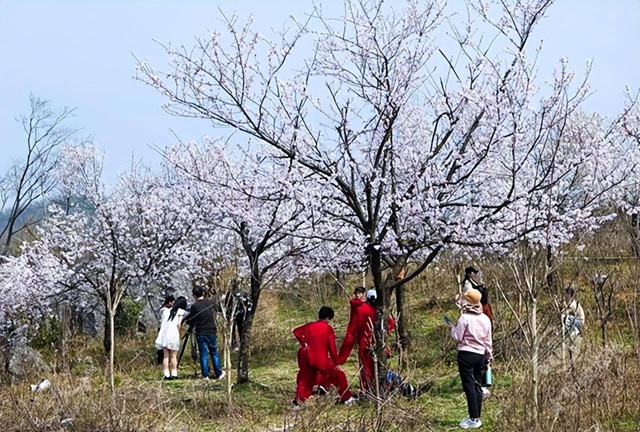 湖北赤壁春光春风春活力春游春暖春赤壁