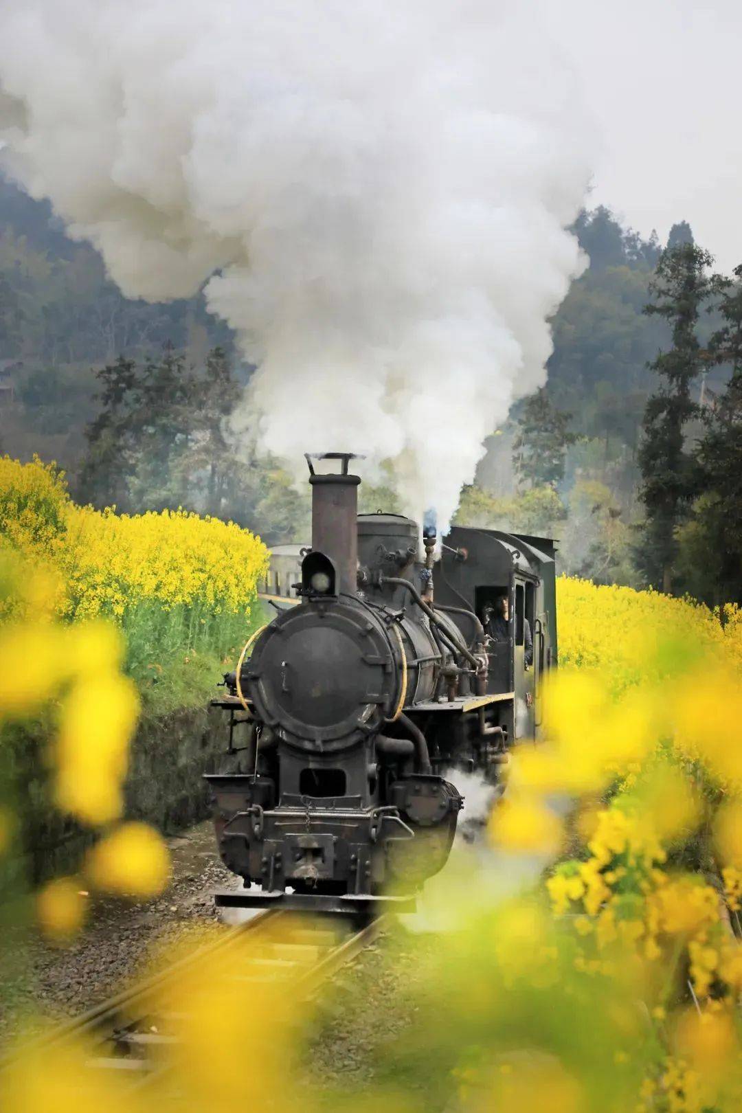 我的心啊我的心整栋出租给四川的春