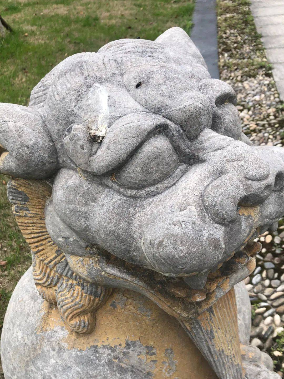 拍拍写写(之六):你的美丽,让我说话都结巴_椅子_玫瑰_植物