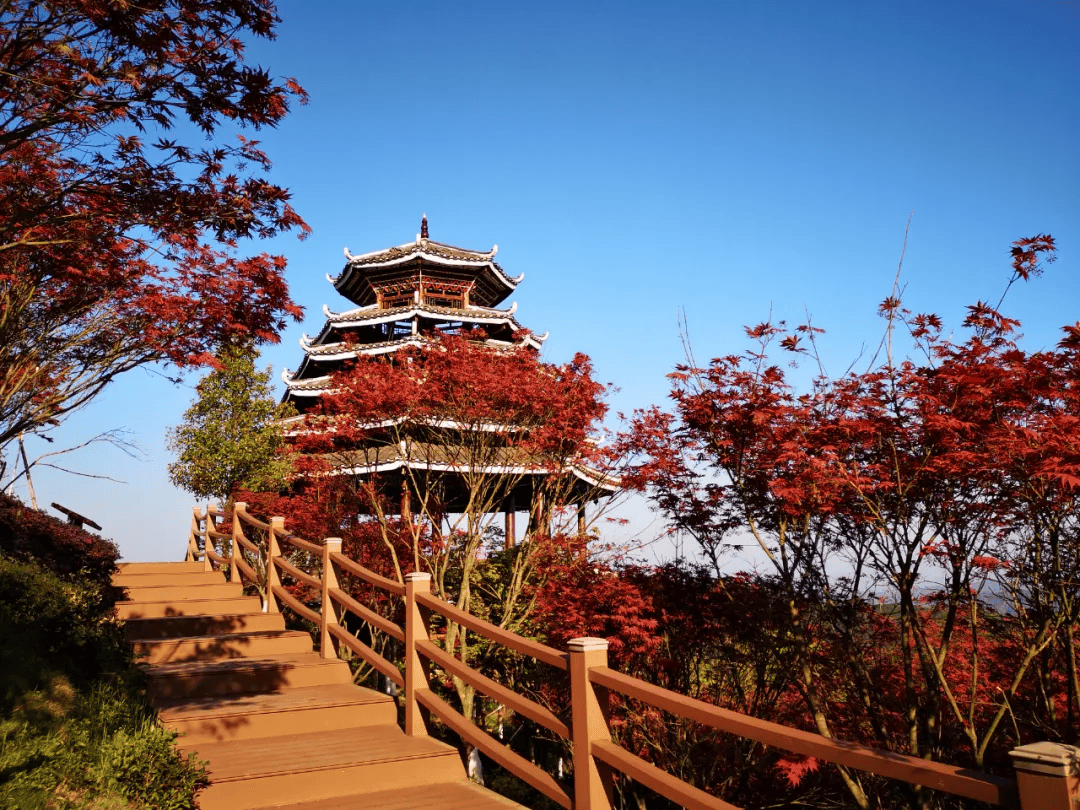 19!_三江县_景区_侗寨