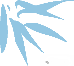 2024年风跃体育迎新年会