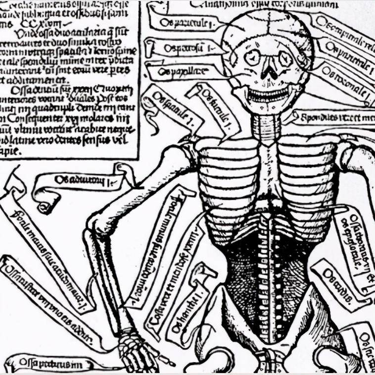印度人骨黑市有多可怕每8分钟卖出一副骨骼比缅北都要恐怖