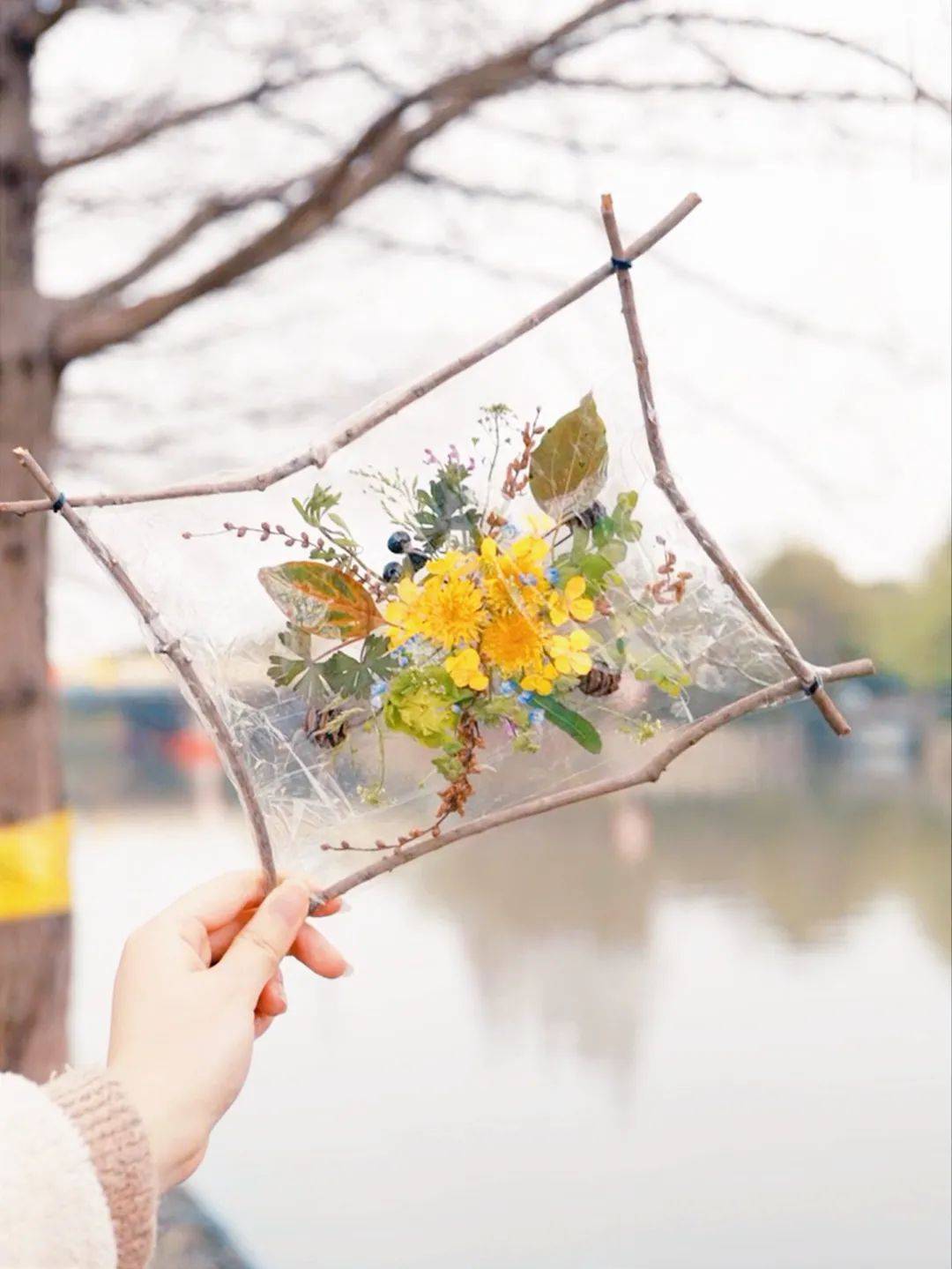 我嘉手工课|植物自然相框