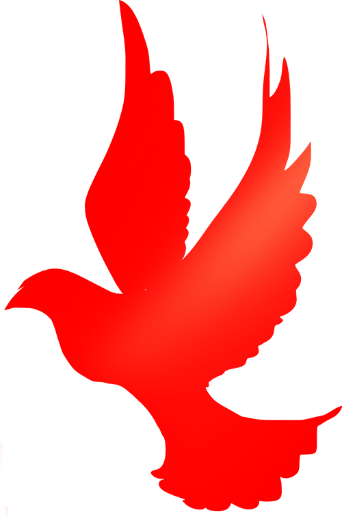 在愉快喜悦的氛围里,同学们共忆往事,共叙情长,共议发展.