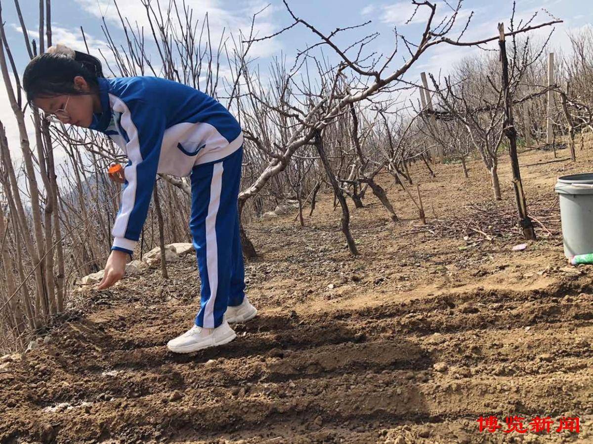博山一中开展春耕主题活动