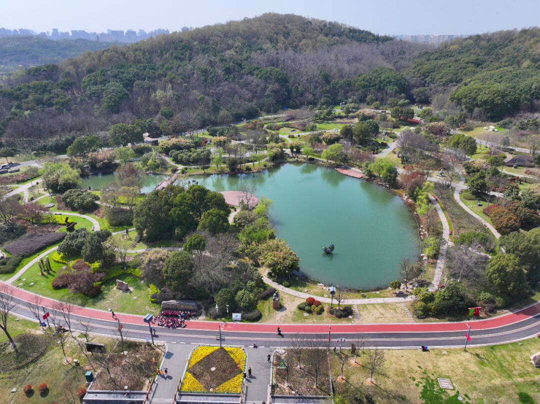 芜湖神山公园的秘密图片